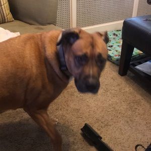 Meet your Posher, Ava